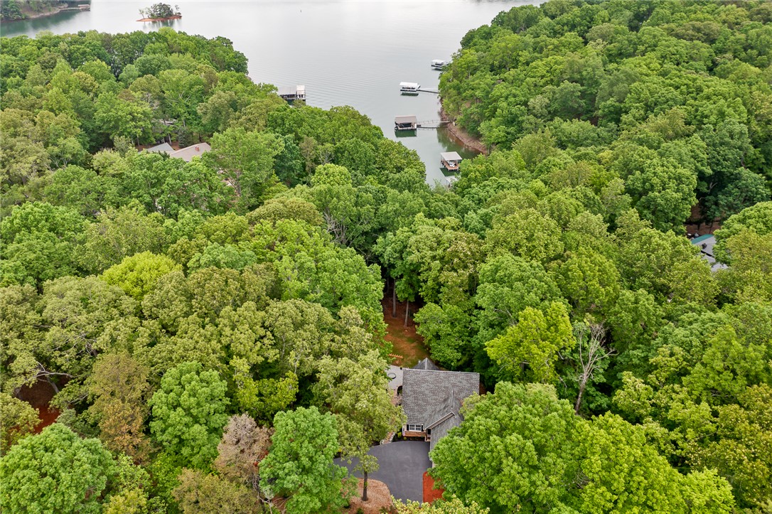 104 Benjamin Drive, Townville, South Carolina image 49