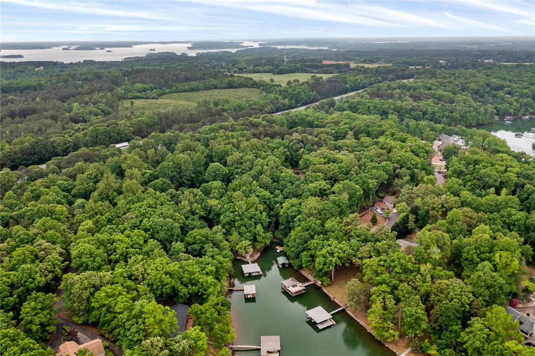 104 Benjamin Drive, Townville, South Carolina image 45