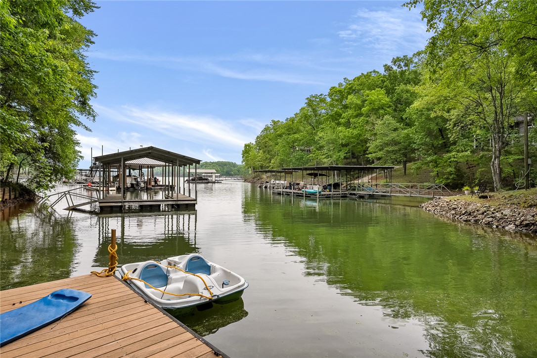 104 Benjamin Drive, Townville, South Carolina image 42