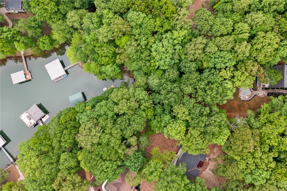 104 Benjamin Drive, Townville, South Carolina image 44