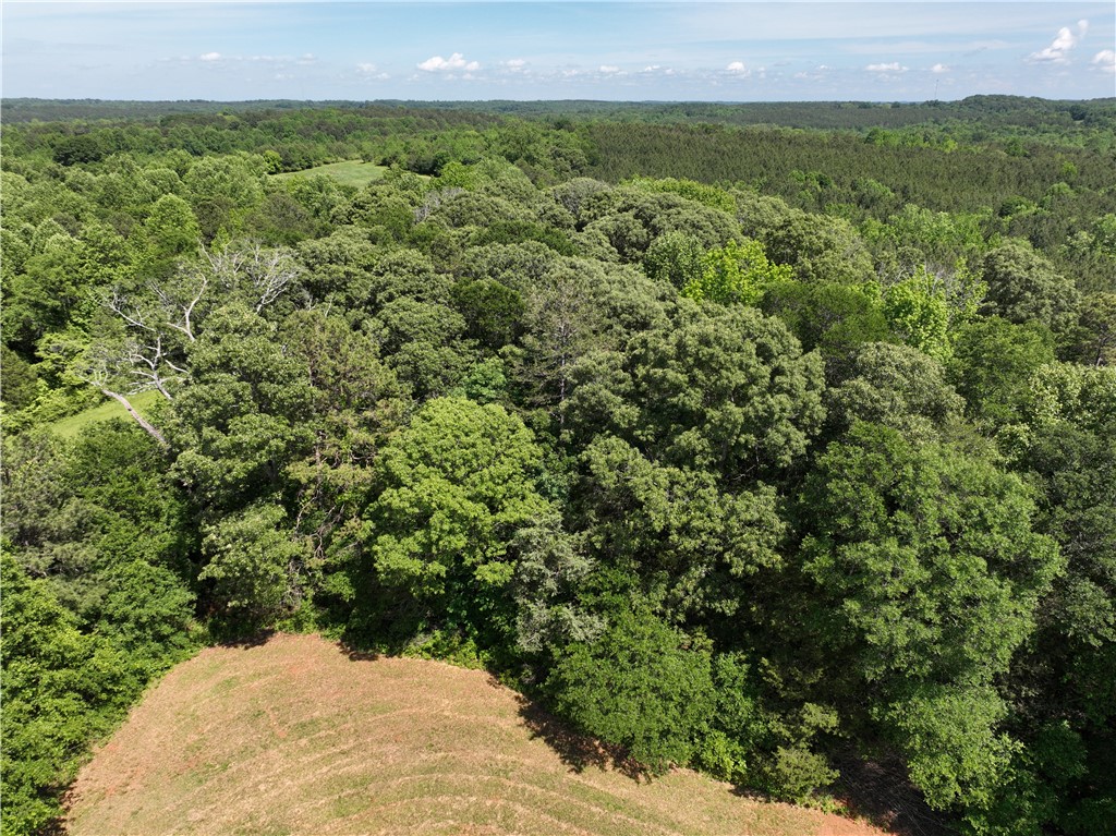 566 W Pine Grove Road, Fair Play, South Carolina image 42