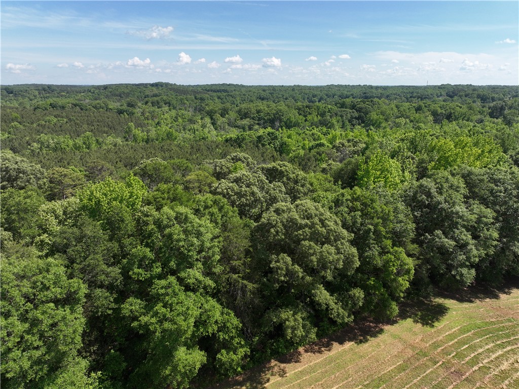 566 W Pine Grove Road, Fair Play, South Carolina image 43