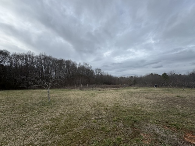 909 Curt Bailey Road, Hartwell, Georgia image 15