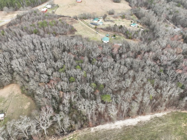 909 Curt Bailey Road, Hartwell, Georgia image 5
