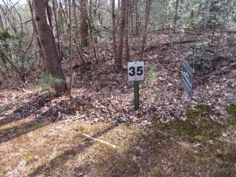 Vacant Land For Sale - 11 Matthews Creek Road<br/> Cleveland, SC 29635