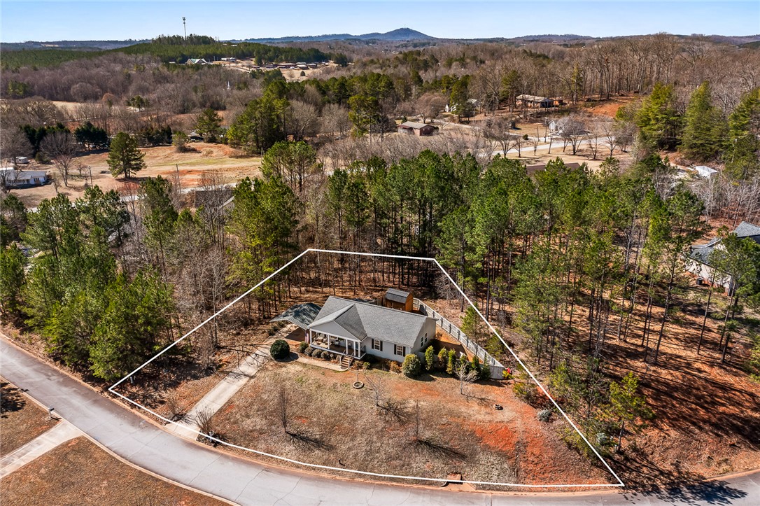 113 Laurel Oak Lane, Pickens, South Carolina image 29