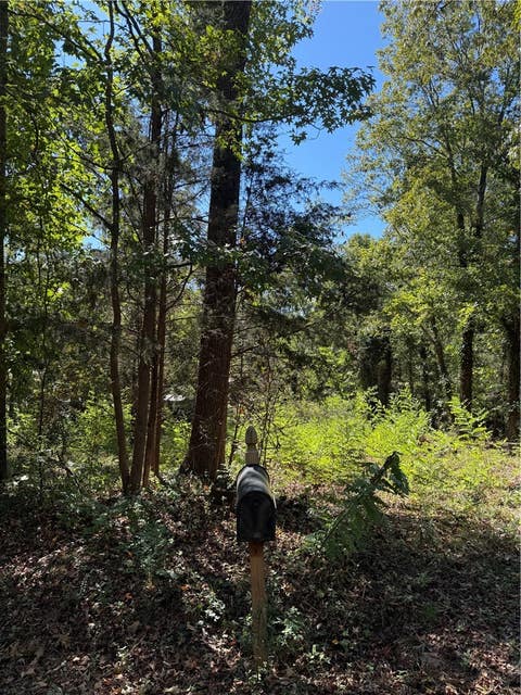Photo for 1203 Round About Trail