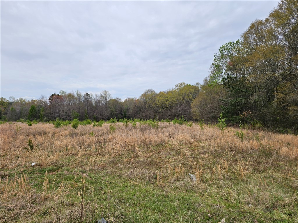 Lot 20 Hwy 8, Piedmont, South Carolina image 1
