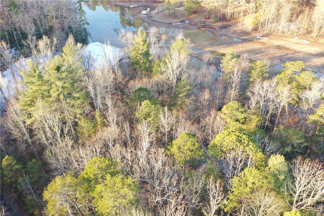 611 The Bear Boulevard, Tamassee, South Carolina image 4