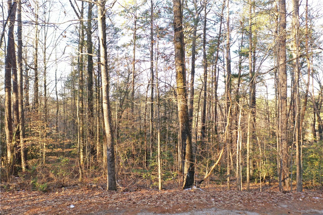 611 The Bear Boulevard, Tamassee, South Carolina image 1