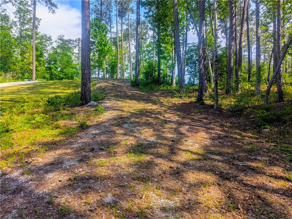 541 Peninsula Road, West Union, South Carolina image 3
