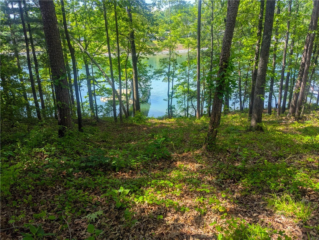 541 Peninsula Road, West Union, South Carolina image 11