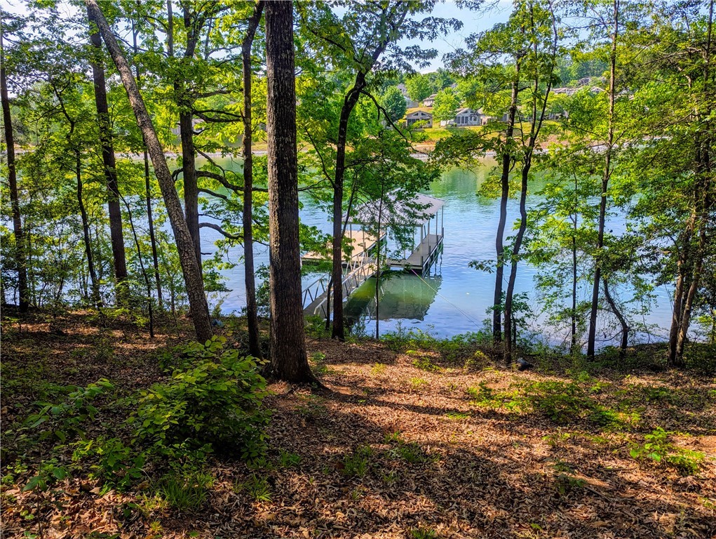 541 Peninsula Road, West Union, South Carolina image 13