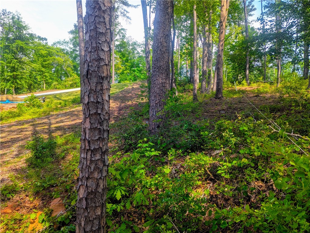 541 Peninsula Road, West Union, South Carolina image 4