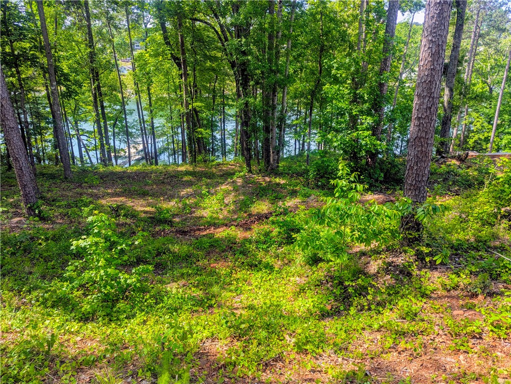 541 Peninsula Road, West Union, South Carolina image 6