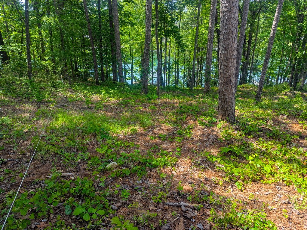541 Peninsula Road, West Union, South Carolina image 7