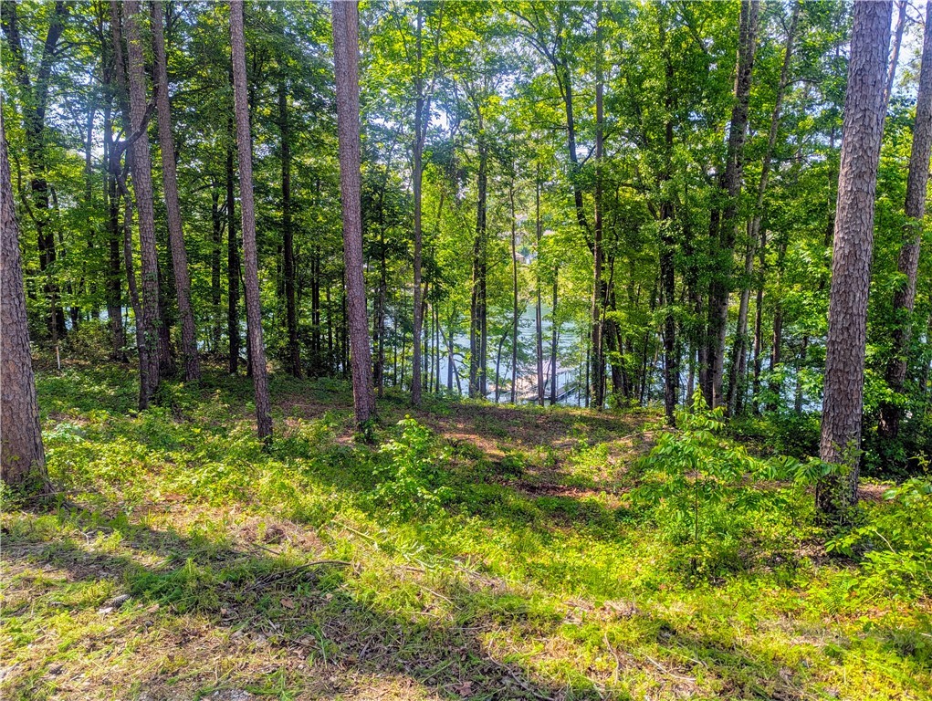 541 Peninsula Road, West Union, South Carolina image 5