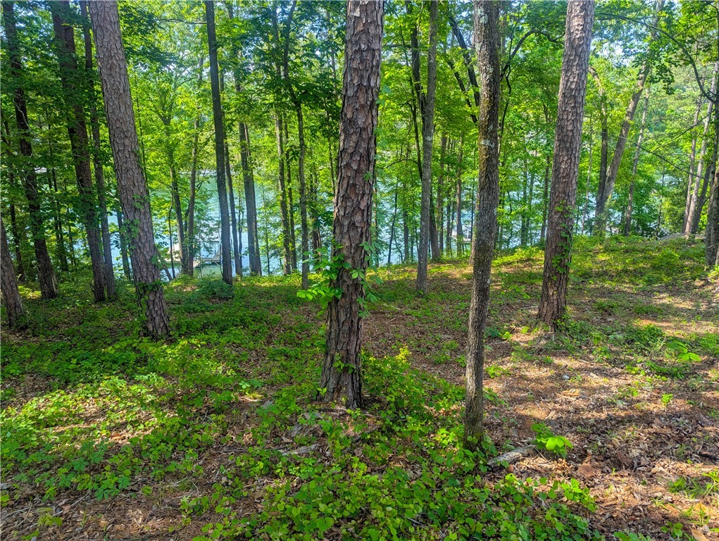 541 Peninsula Road, West Union, South Carolina image 8