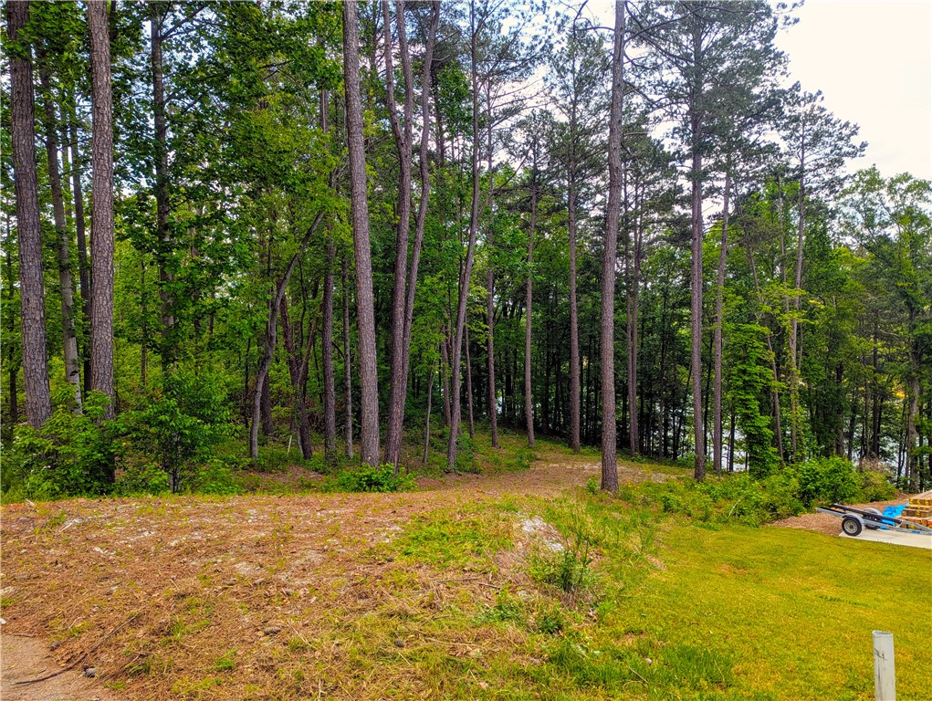 541 Peninsula Road, West Union, South Carolina image 2