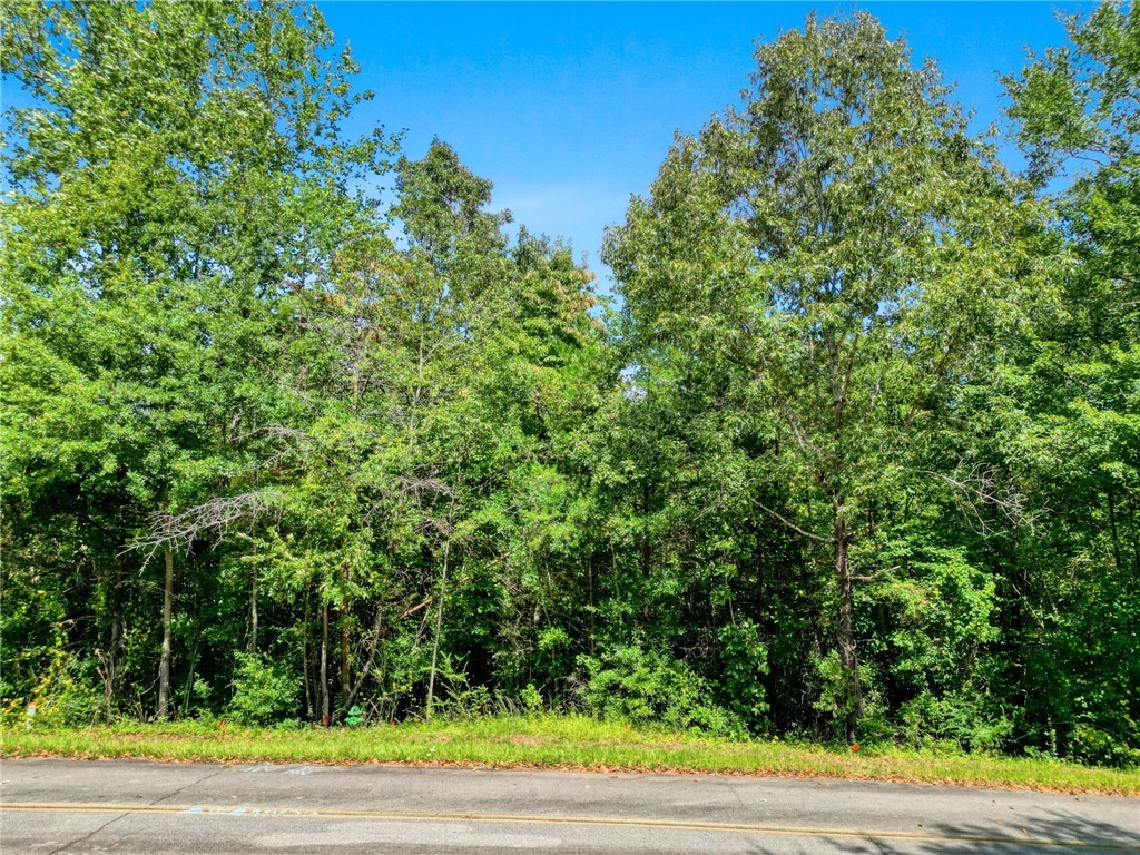 213 Castlebrook Drive, Walhalla, South Carolina image 3