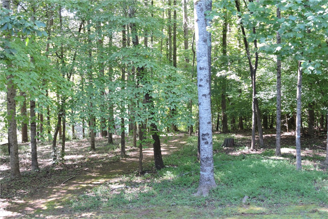 111 Hickory Trail, Westminster, South Carolina image 6