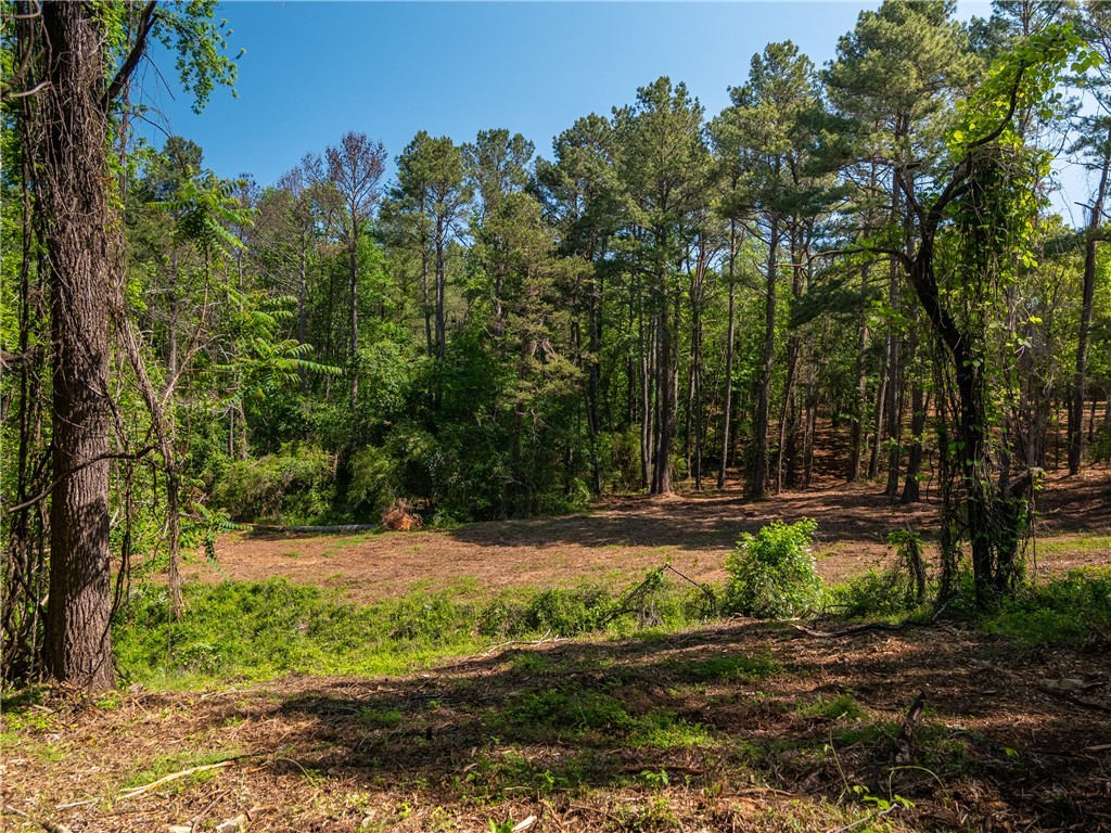 04 Moorefield Memorial Highway, Liberty, South Carolina image 30