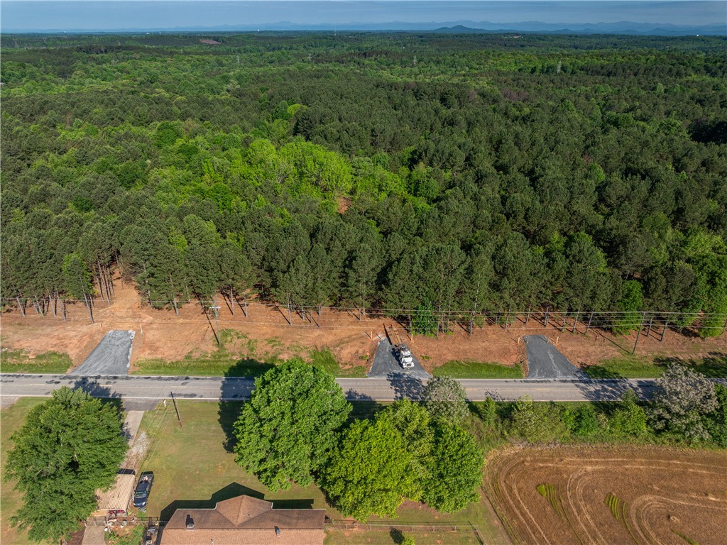 04 Moorefield Memorial Highway, Liberty, South Carolina image 17