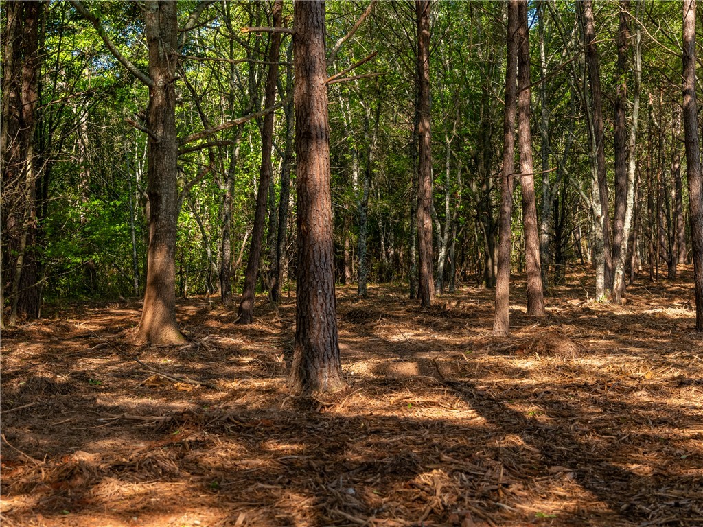 04 Moorefield Memorial Highway, Liberty, South Carolina image 24