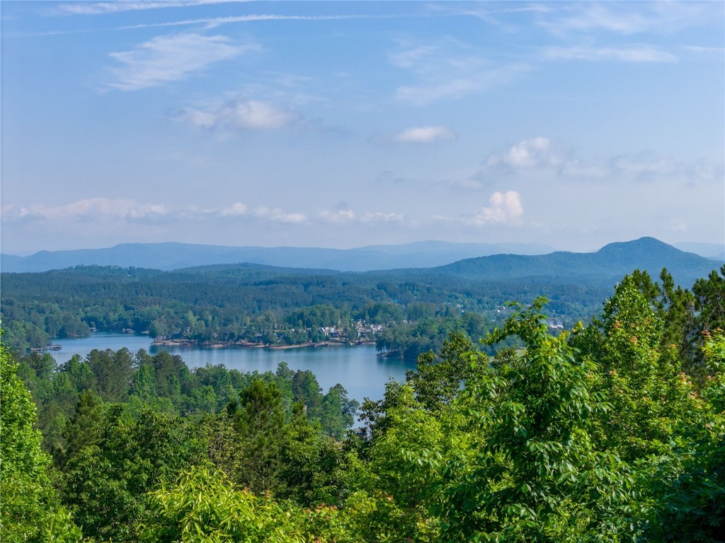 125 Scenic Crest Way, Six Mile, South Carolina image 49