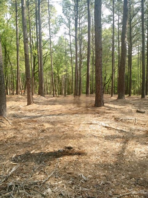 Vacant Land For Sale - LOT #63 Harbor Point Road<br/> Seneca, SC 29672