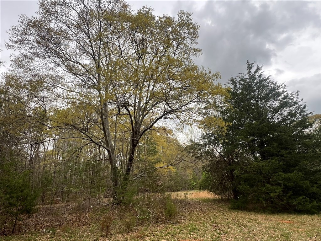 Anderson, South Carolina 29621, United States, ,Land,Active,100484