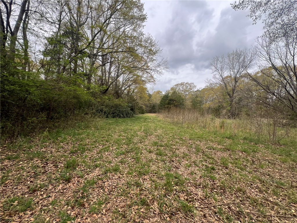 Anderson, South Carolina 29621, United States, ,Land,Active,100484