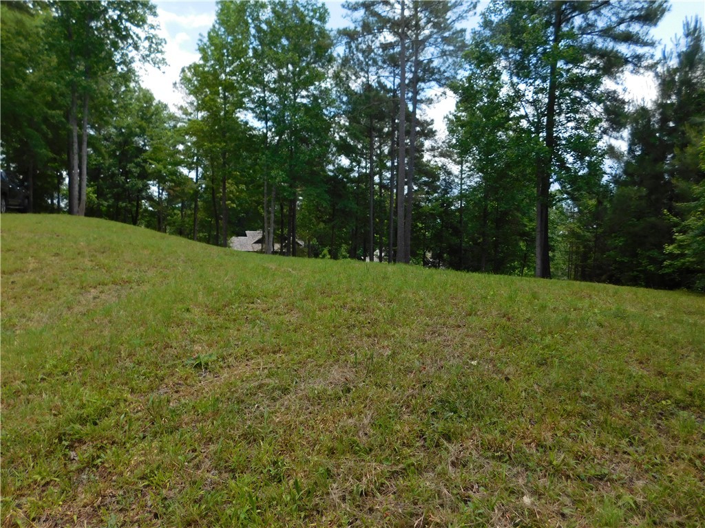 305 Broadleaf Court, Salem, South Carolina image 4