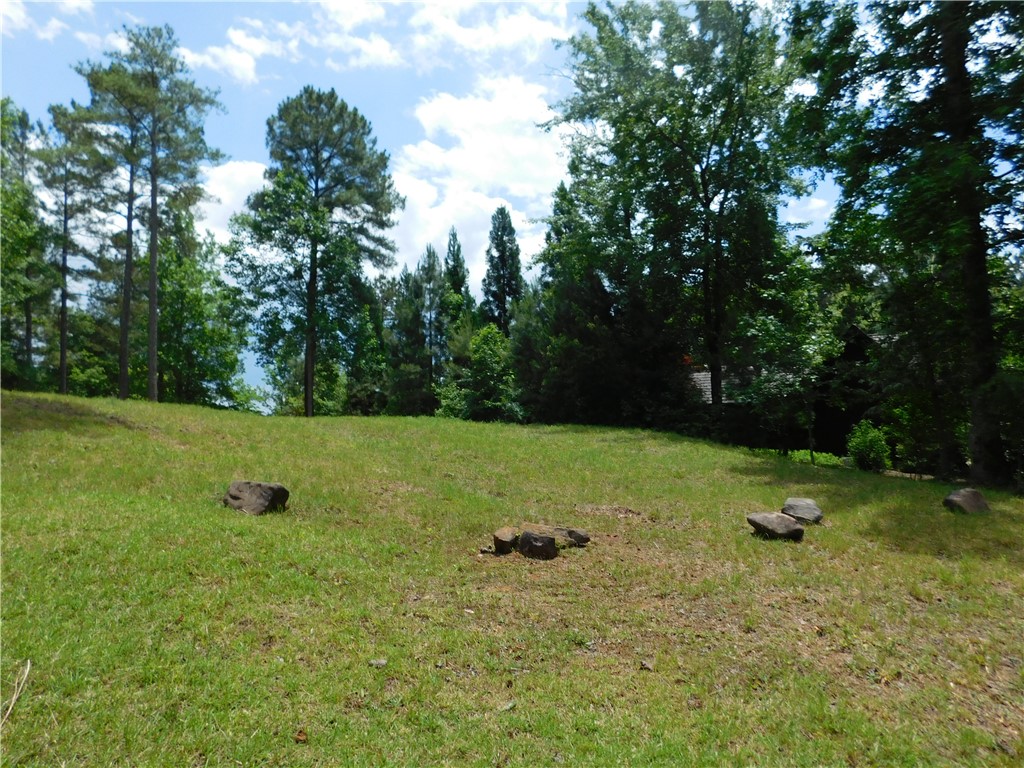 305 Broadleaf Court, Salem, South Carolina image 2