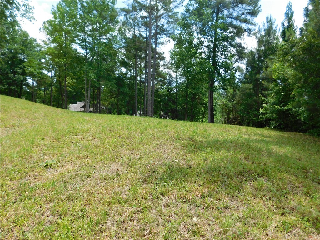 305 Broadleaf Court, Salem, South Carolina image 3