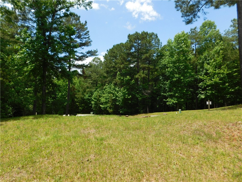 305 Broadleaf Court, Salem, South Carolina image 1