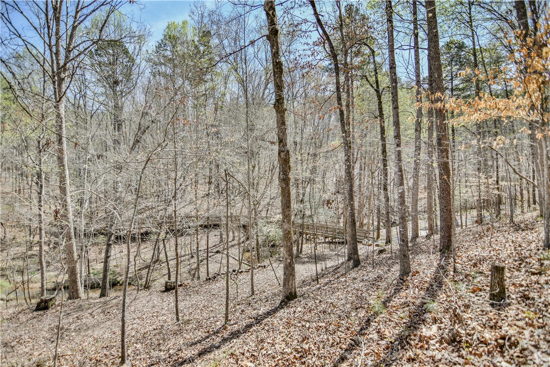 504 Wendover Court, Seneca, South Carolina image 50