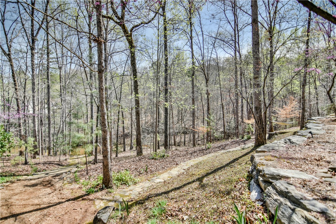 504 Wendover Court, Seneca, South Carolina image 49
