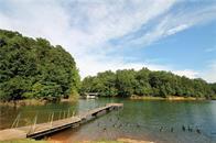 00 Laurel Drive, Westminster, South Carolina image 3