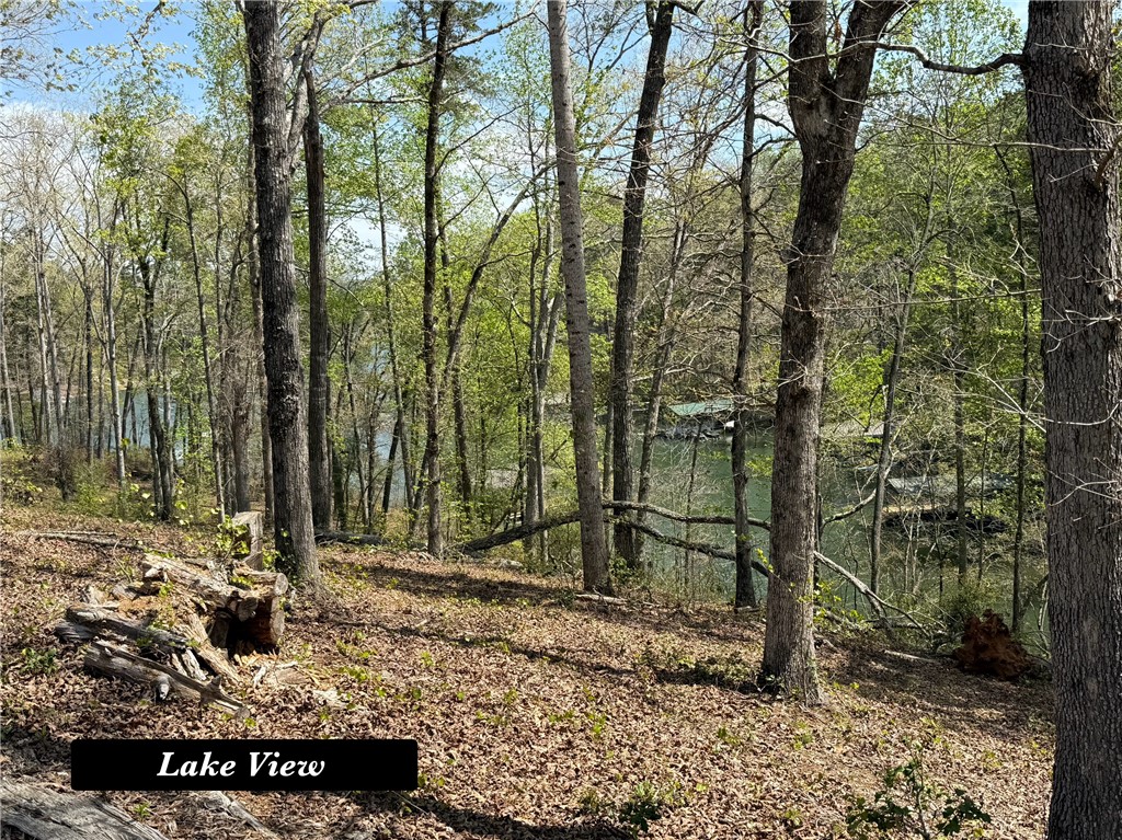 1112 Little River View Drive, Seneca, South Carolina image 3