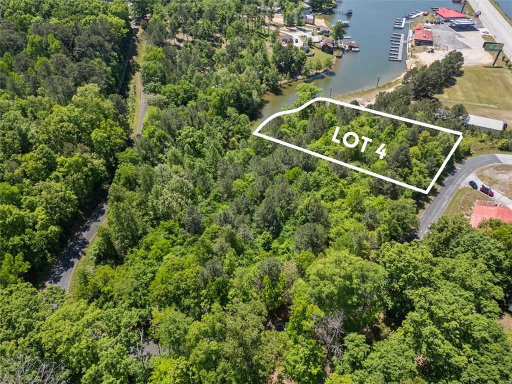 00 Lake Forest Drive, Waterloo, South Carolina image 17