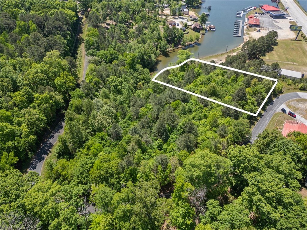 00 Lake Forest Drive, Waterloo, South Carolina image 16