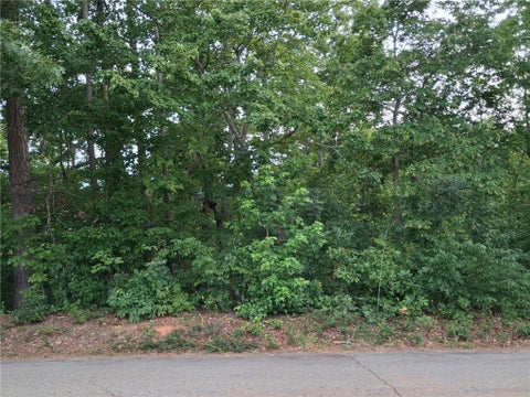Vacant Land For Sale - 00 Left Fork Road<br/> Pickens County, Pickens, SC 29671
