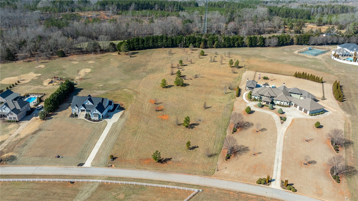 208 Chestnut Springs Way, Williamston, South Carolina image 4