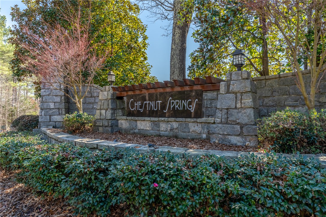 208 Chestnut Springs Way, Williamston, South Carolina image 9