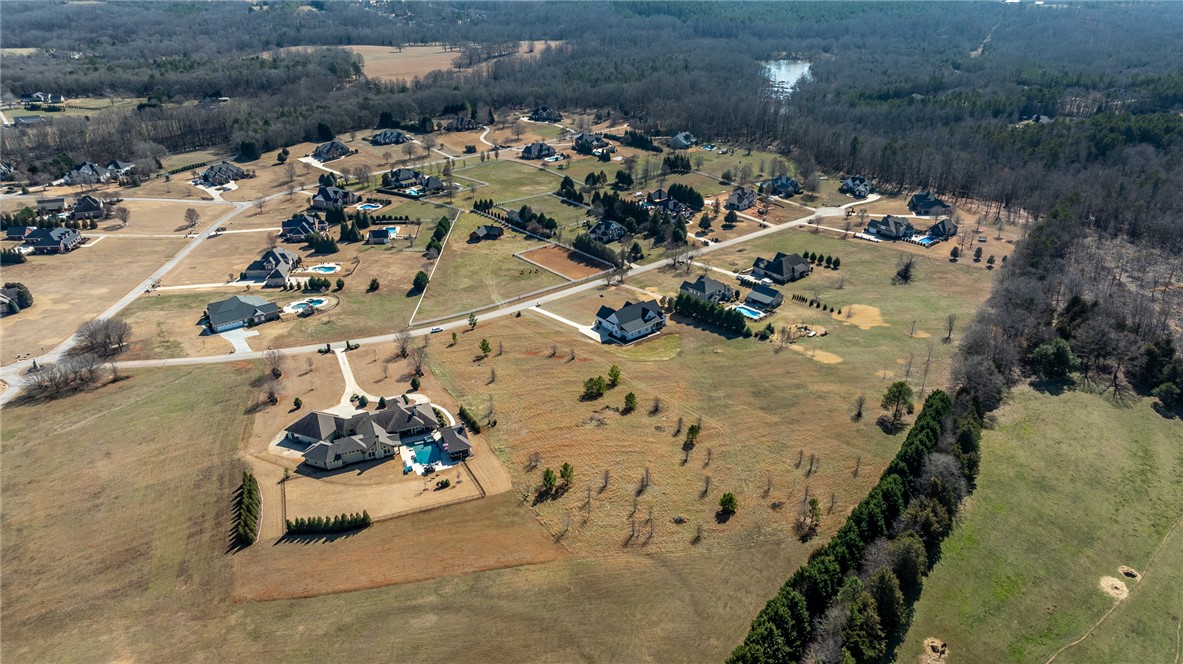 208 Chestnut Springs Way, Williamston, South Carolina image 6