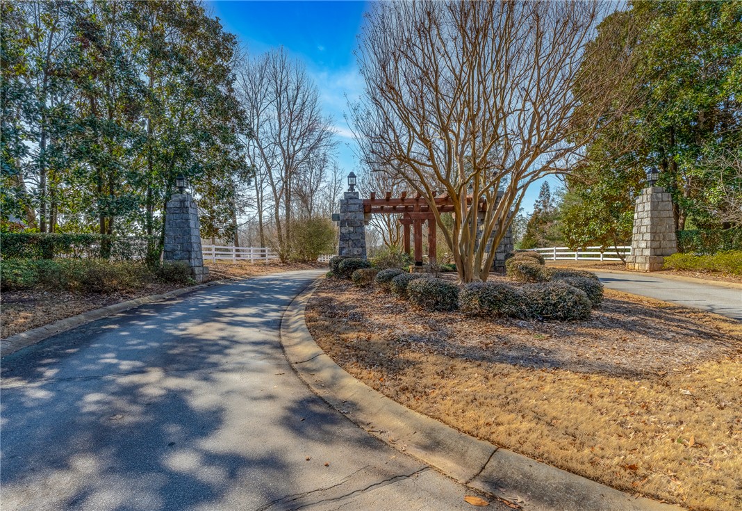 208 Chestnut Springs Way, Williamston, South Carolina image 8