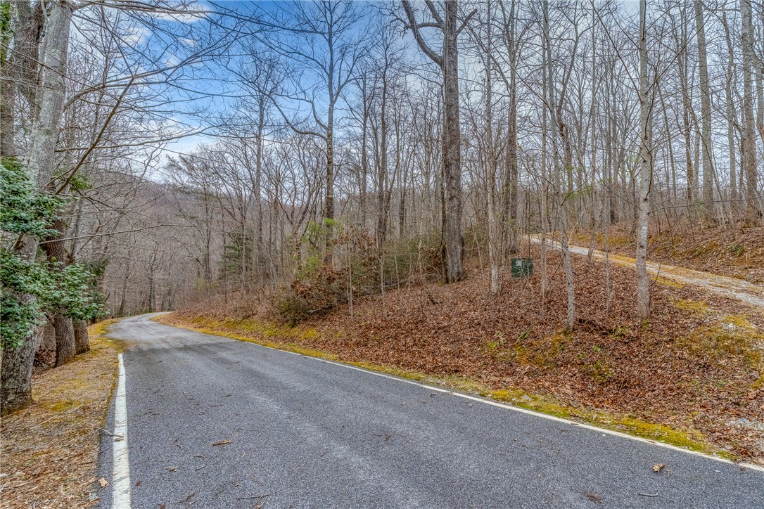 8 Granite Falls Drive, Landrum, South Carolina image 2