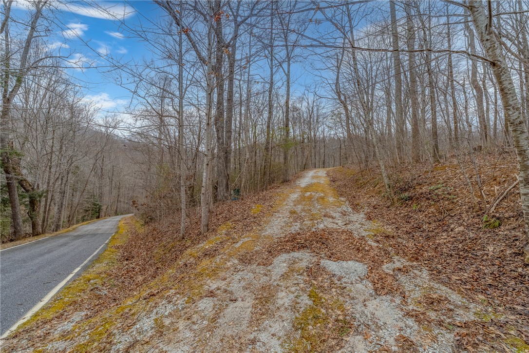 8 Granite Falls Drive, Landrum, South Carolina image 1