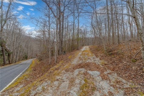 Vacant Land For Sale - 8 Granite Falls Drive<br/> Landrum, SC 29356